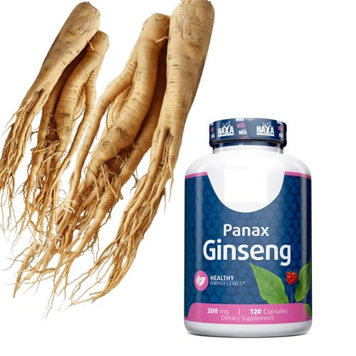 panax ginseng